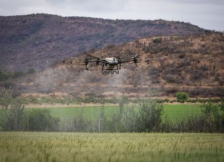 Dron nad zielonym polem uprawnym na tle gór