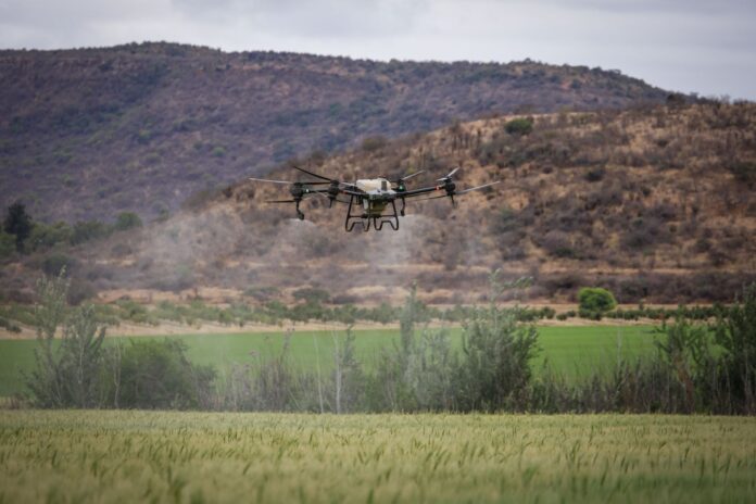 Dron nad zielonym polem uprawnym na tle gór