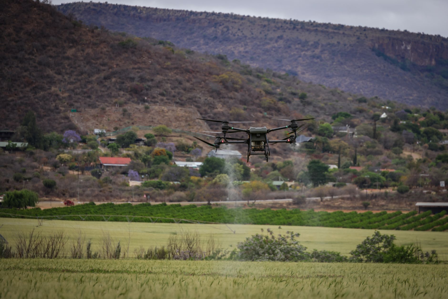 Dron opryskujący uprawy w gospodarstwie rolnym precyzyjnym