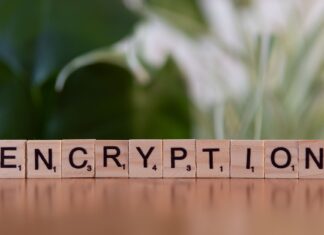 Drewniane klocki z napisem encryption symbolizujące szyfrowanie danych