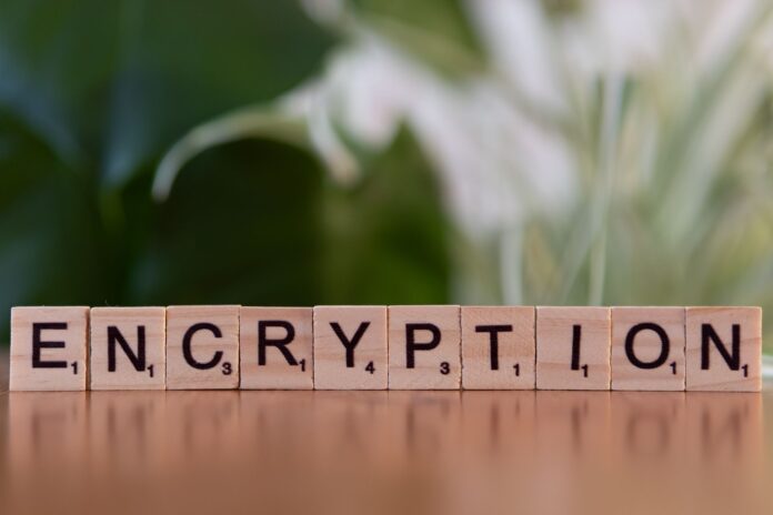 Drewniane klocki z napisem encryption symbolizujące szyfrowanie danych